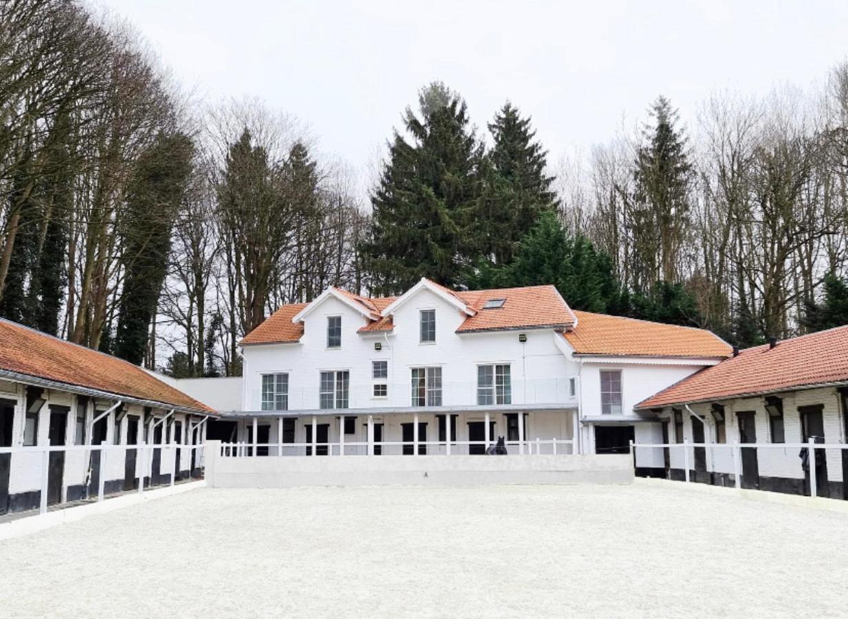 Royal Horses Bed & Breakfast Overijse Dış mekan fotoğraf